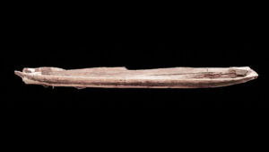 Bald Cypress Canoe